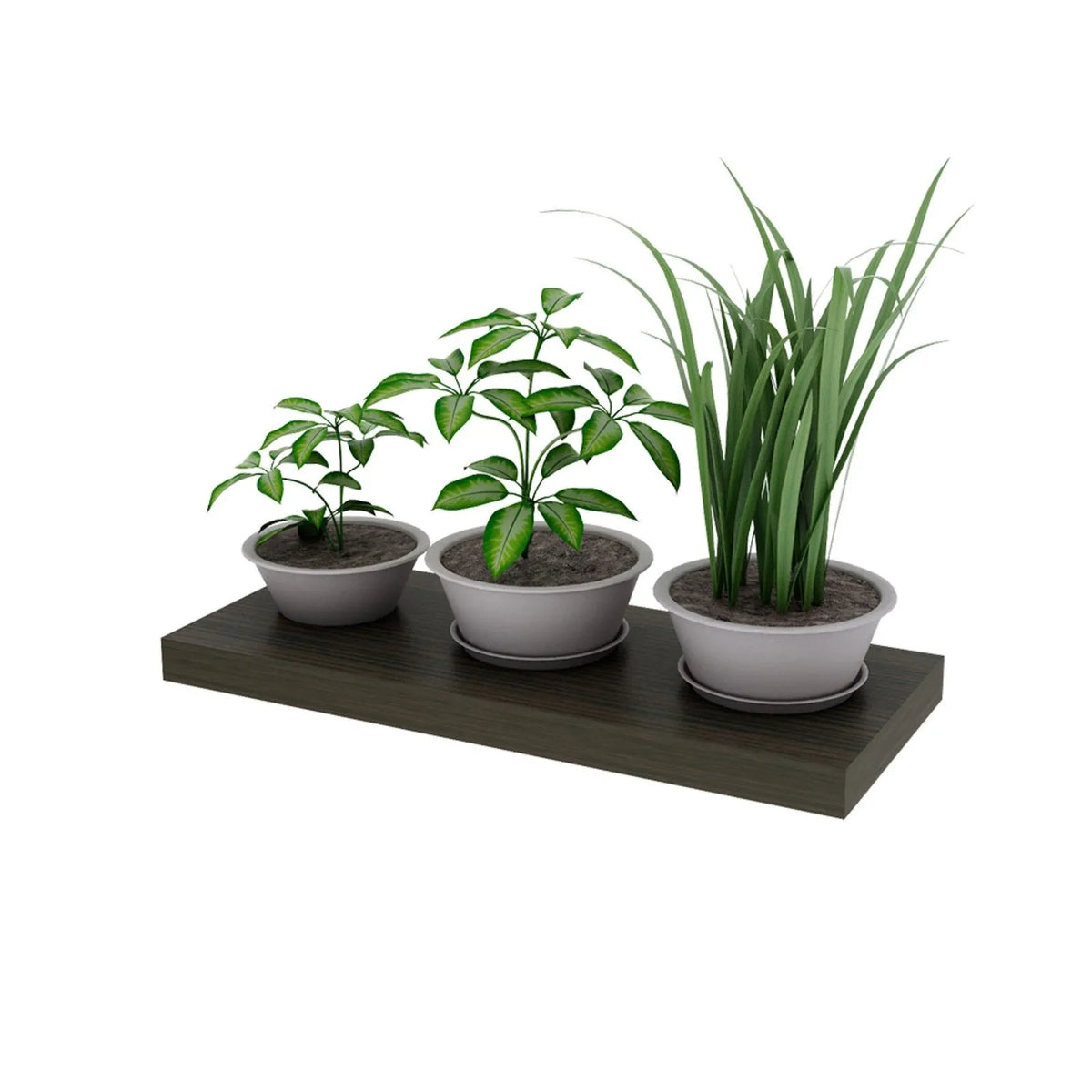 Estante flotante Centro Estant 60 X 25 cm. wengué